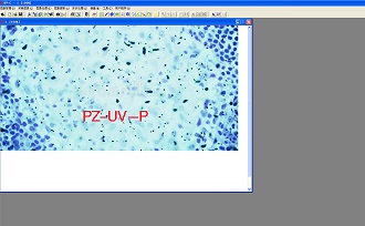 生物分析管理軟件PZ-UV－P