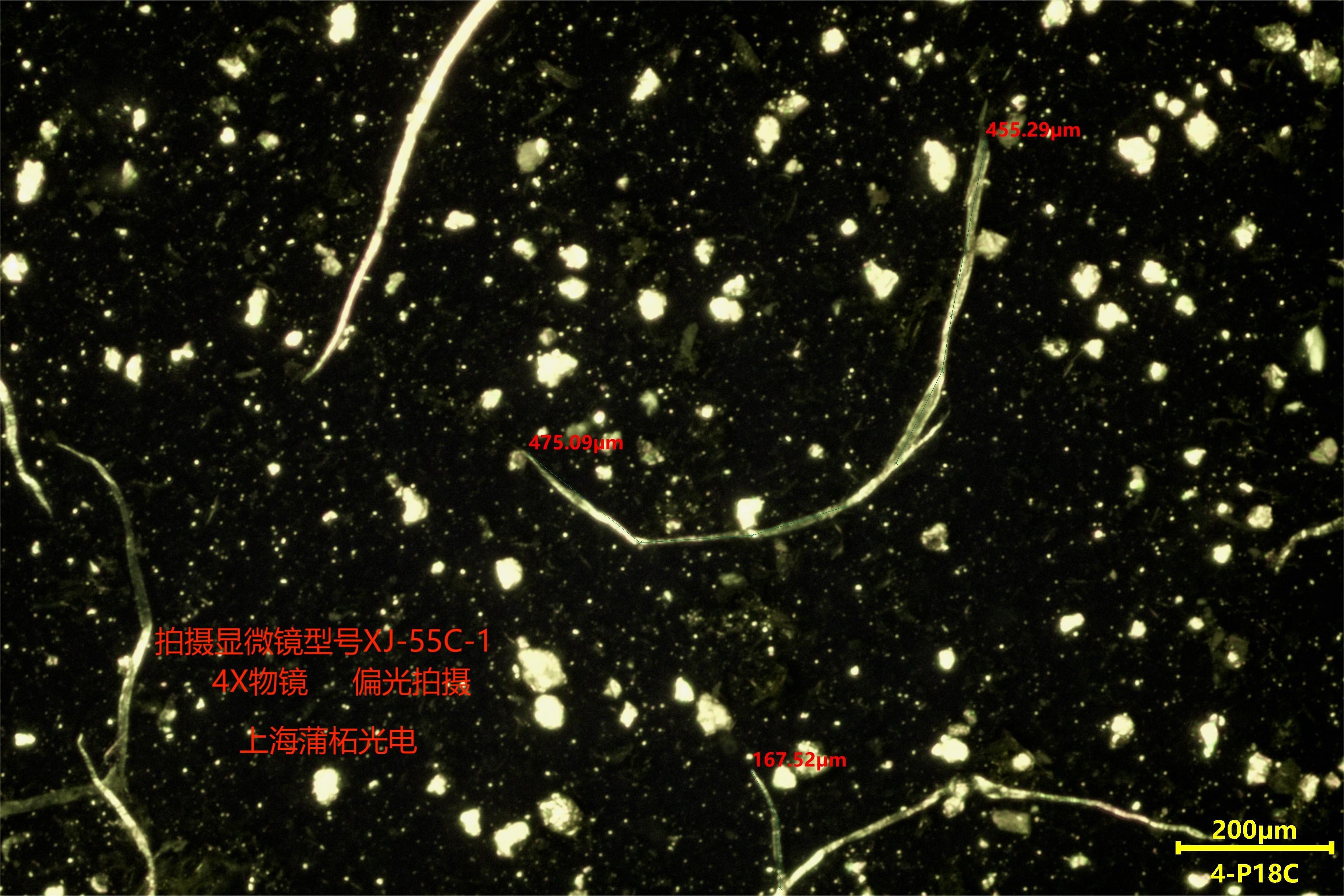 木質(zhì)纖維顯微圖片11.jpg