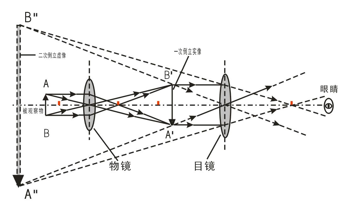 顯微鏡光路圖